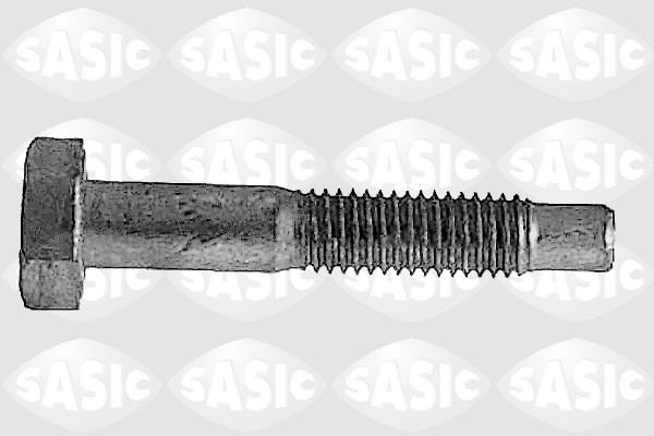 Зажимный болт, несущий / направляющий шарнир - 5223433 SASIC