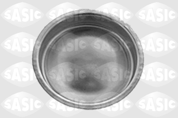 Cover, wheel hub - 7403193 SASIC