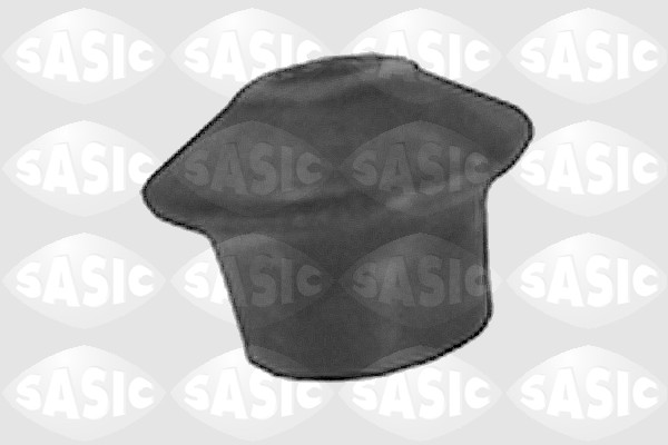 variklio montavimas - 9001462 SASIC