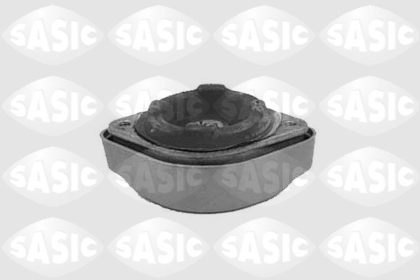 variklio montavimas - 9001969 SASIC