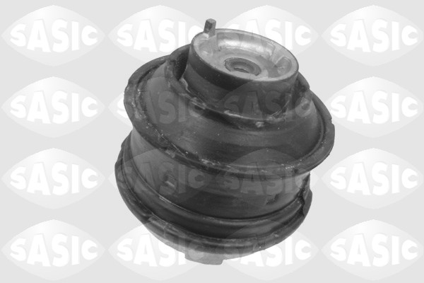 variklio montavimas - 9002498 SASIC
