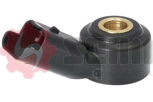 Knock Sensor - CC77 SEIM