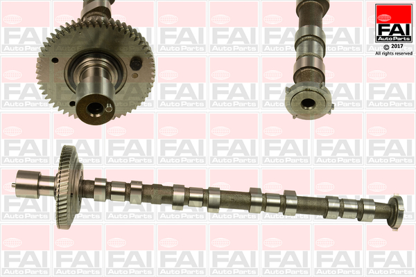 Nockenwelle - C308 FAI AutoParts