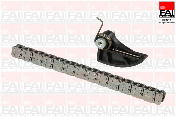 Catena, Azionamento pompa olio - OPCK87 FAI AutoParts