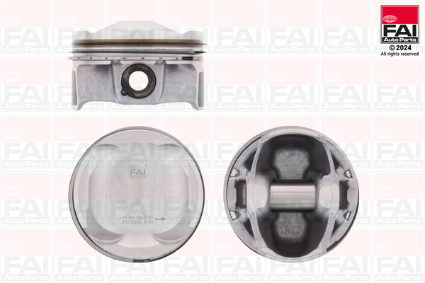 Pistone - PK251-050 FAI AutoParts