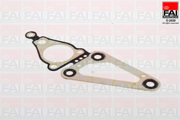 Gasket, timing case - TC1468 FAI AutoParts