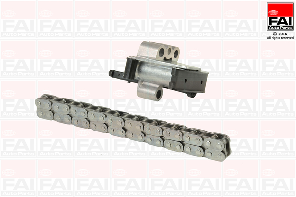 Kit catena distribuzione - TCK100NG FAI AutoParts