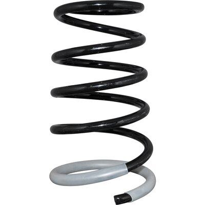 Coil Spring - 4052200300 JP GROUP