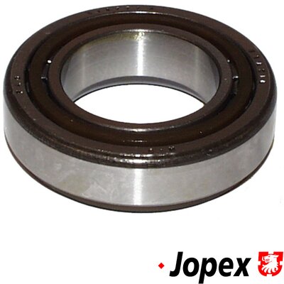 Wheel Bearing - 8141200200 JP GROUP