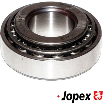 Wheel Bearing - 8141200800 JP GROUP
