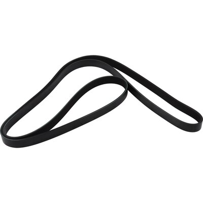 V-Ribbed Belt - 4118100200 JP GROUP