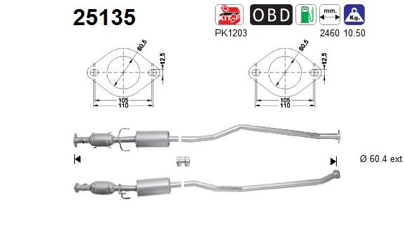 Catalizzatore - 25135 AS