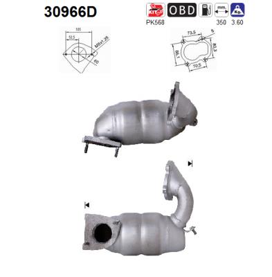 Catalizzatore - 30966D AS
