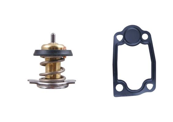 Termostato, Refrigerante - TX 266 79D MAHLE