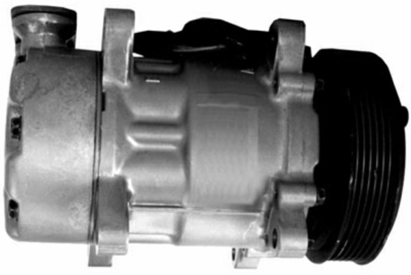 Компрессор, кондиционер - ACP 1095 000S MAHLE