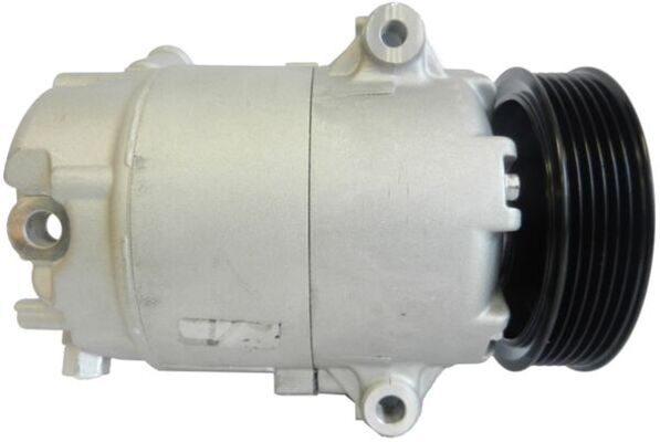 Compressor, air conditioning - ACP 156 000S MAHLE