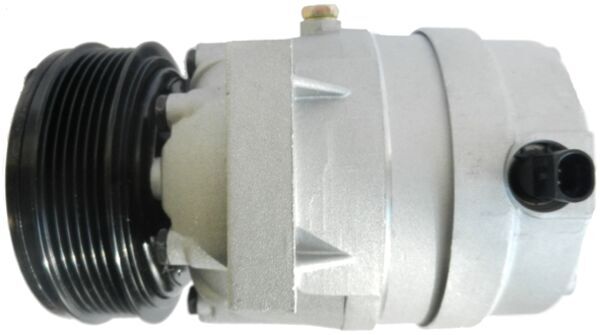 Compressore, Climatizzatore - ACP 65 000S MAHLE