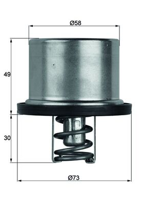 Thermostat, coolant - TX 37 79 MAHLE