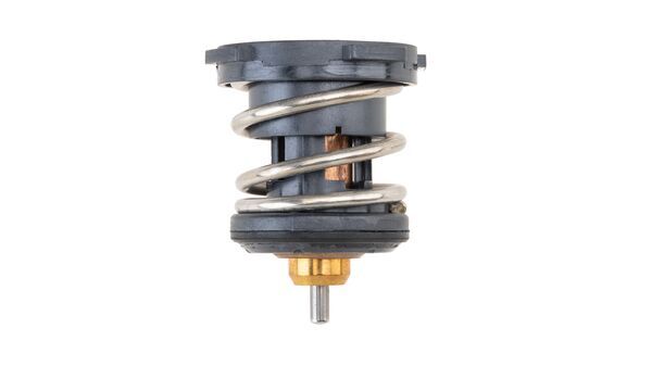 Termostato, Refrigerante - TX 252 87 MAHLE