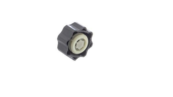 Sealing Cap, coolant tank - CRB 117 000S MAHLE