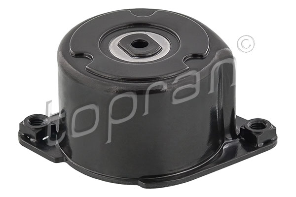 Tendicinghia, Cinghia Poly-V - 501 499 TOPRAN