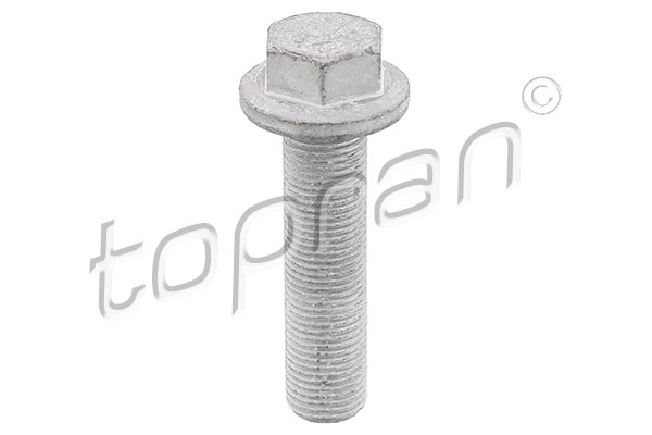 skriemulio varžtas - 701 617 TOPRAN