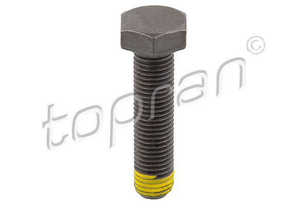 Flywheel Bolt - 502 756 TOPRAN
