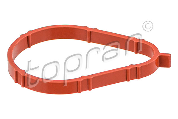 Gasket, intake manifold - 111 053 TOPRAN