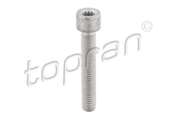 Bullone, Flangia albero cardanico - 104 306 TOPRAN