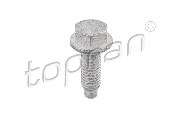 Bullone/Vite - 107 194 TOPRAN
