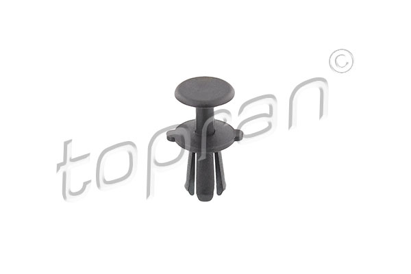 Rivetto d'espansione - 114 346 TOPRAN