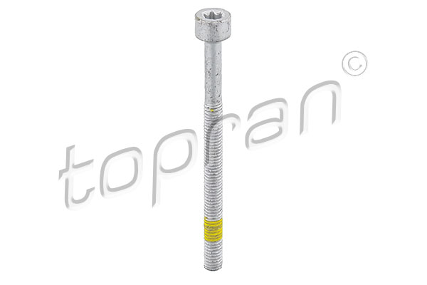 Bullone/Vite - 409 573 TOPRAN