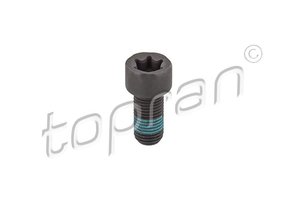 smagračio varžtas - 208 861 TOPRAN