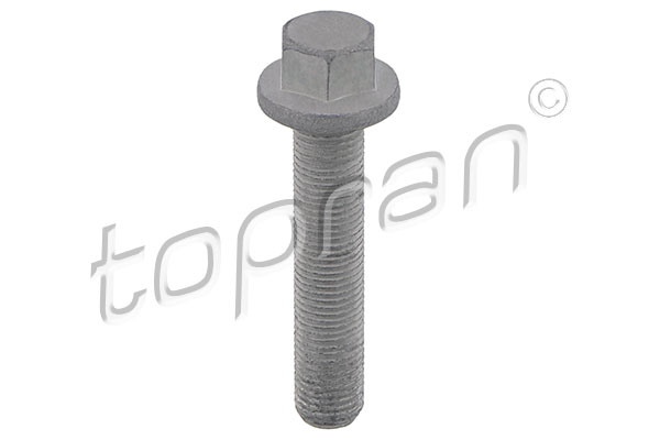 Pulley Bolt - 503 133 TOPRAN