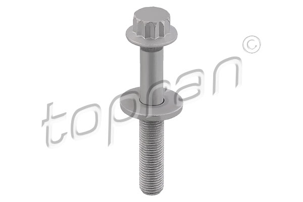 skriemulio varžtas - 117 607 TOPRAN