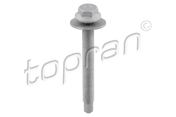 varžtas - 118 101 TOPRAN