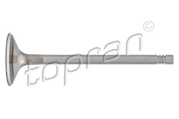 Inlet Valve - 110 203 TOPRAN