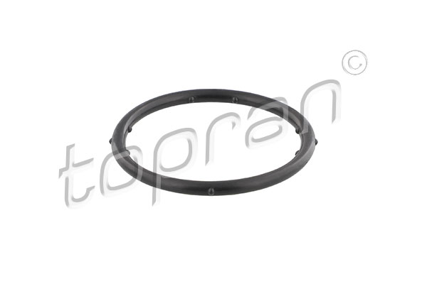 Gasket, coolant flange - 100 721 TOPRAN