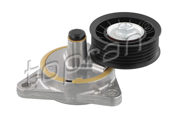 Tendicinghia, Cinghia Poly-V - 302 163 TOPRAN