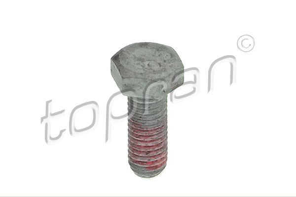 Bullone, Pinza freno - 110 710 TOPRAN