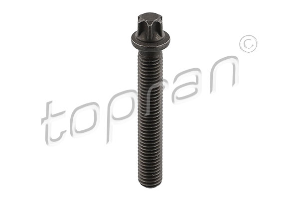 Bullone puleggia - 503 682 TOPRAN