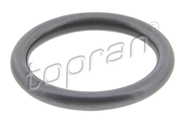 Seal Ring, injector - 100 678 TOPRAN