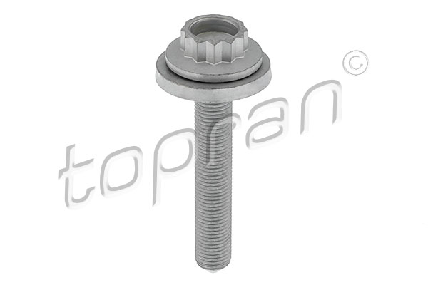 skriemulio varžtas - 117 991 TOPRAN