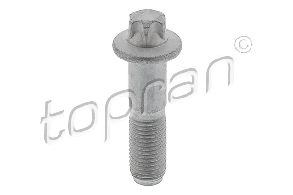 varžtas - 503 387 TOPRAN