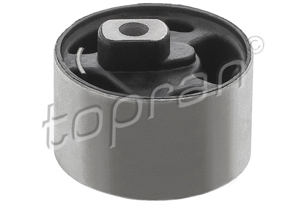 Sospensione, Motore - 102 579 TOPRAN