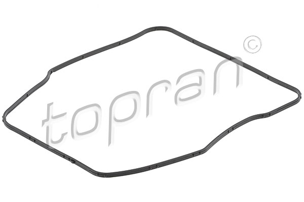 Oil Seal, automatic transmission - 119 326 TOPRAN