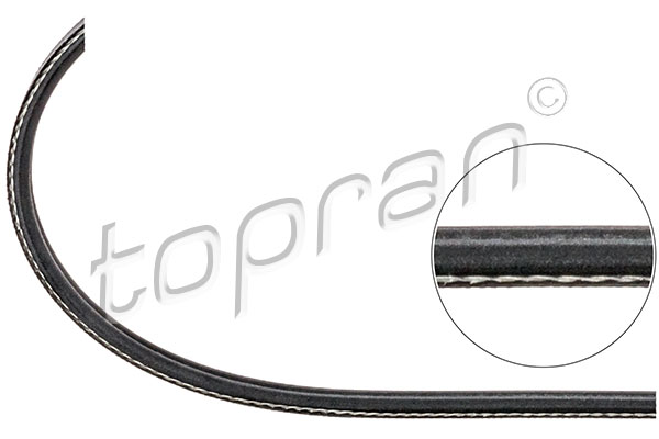 Cinghia Poly-V - 104 130 TOPRAN