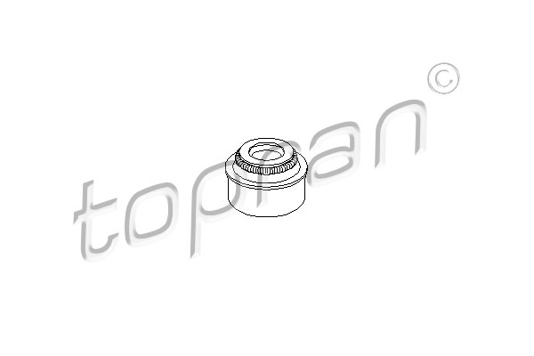 Seal Ring, valve stem - 300 354 TOPRAN