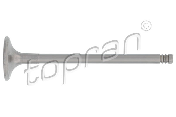 Inlet Valve - 110 210 TOPRAN