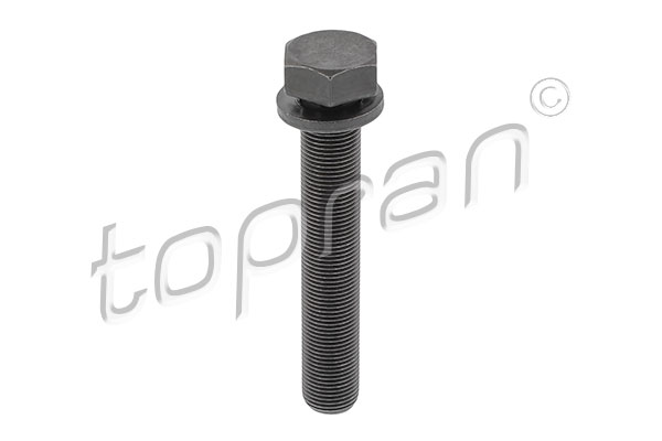skriemulio varžtas - 109 336 TOPRAN